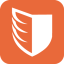 Logo of Paladin Drones