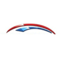Logo of Synectic Solutions Inc
