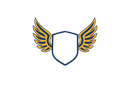 Logo of Arxlight
