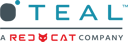 Logo of TEAL DRONES INC