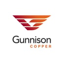 Logo of Excelsior Mining, Inc.
