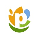 Logo of PepsiCo
