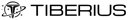 Logo of Tiberius Aerospace Inc.