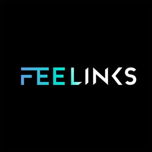 Logo of Feelinks