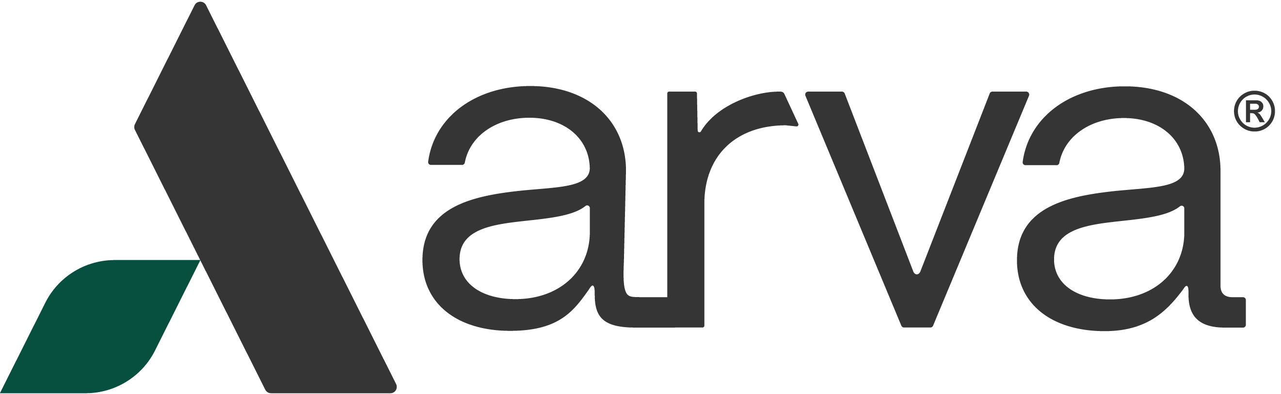 Logo of Arva Intelligence