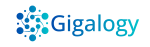 Logo of Gigalogy Inc.