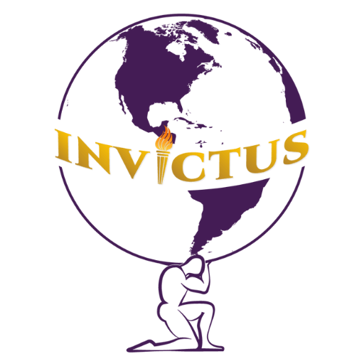 Logo of IMG
