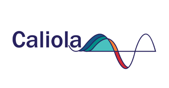 Logo of Caliola Engineering, LLC