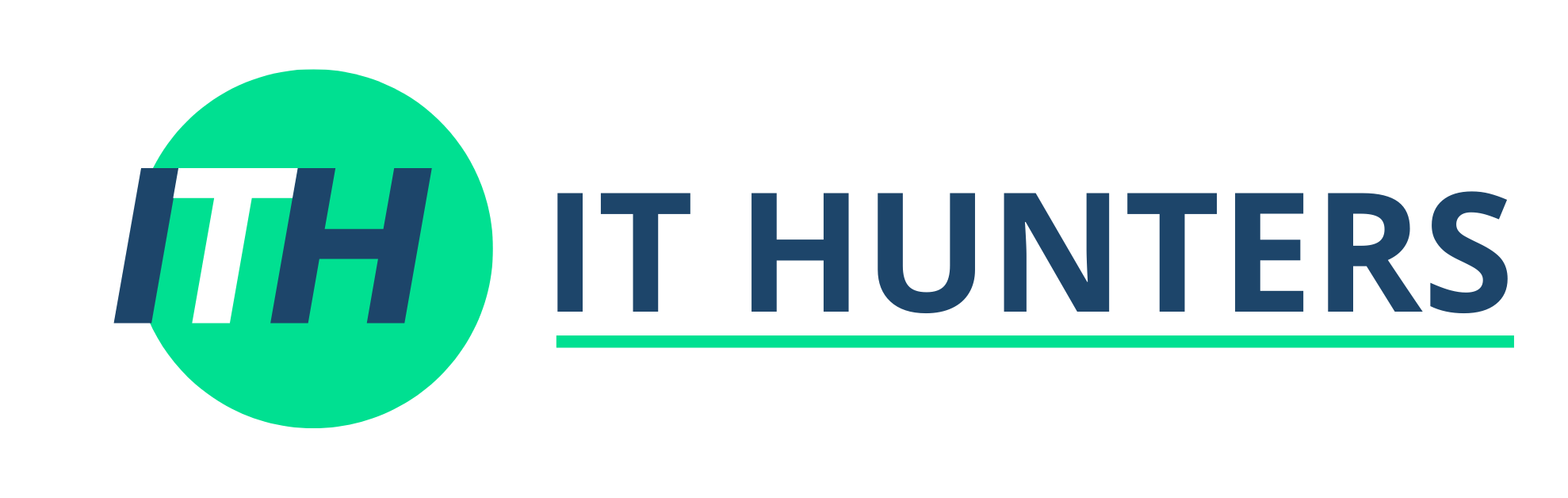 Logo of IT HUNTERS